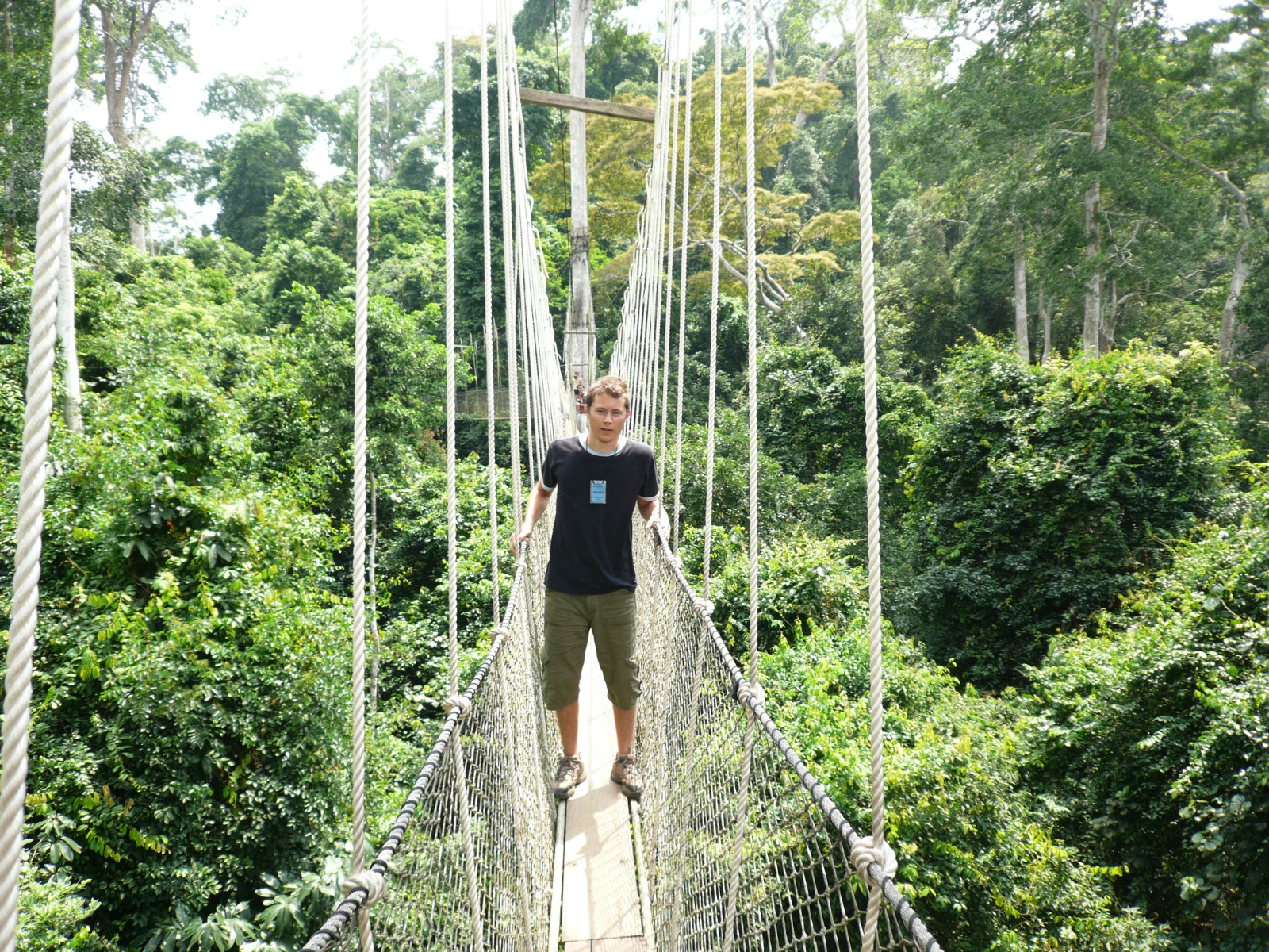 Canopy walkway through the rainforest at Kakum National Park, Ghana
