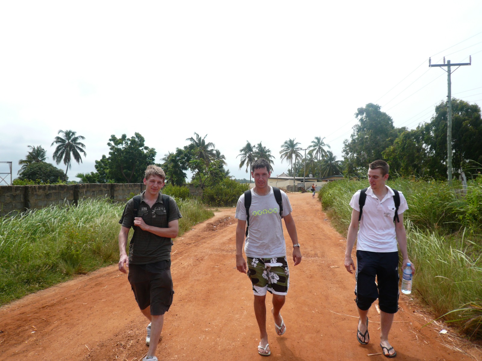 Volunteers walk a red dirt road lined with palm trees